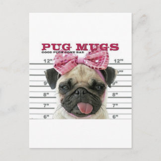 Pug Vykort