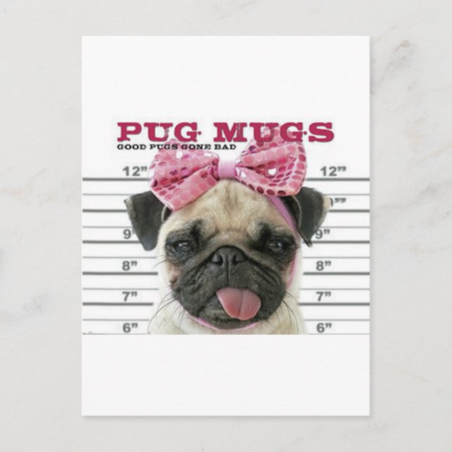 Pug Vykort (Framsida)