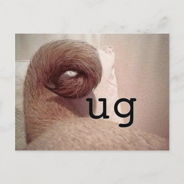 Pug Vykort (Framsida)