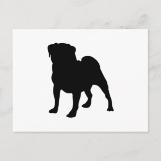 Pug Vykort