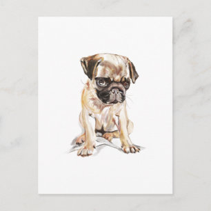 Pug vykort – Handritad hundillustration