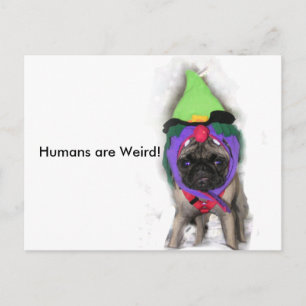 Pug Witch Vykort