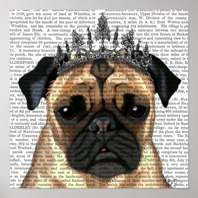 Pug with Tiara Poster (Framsidan)