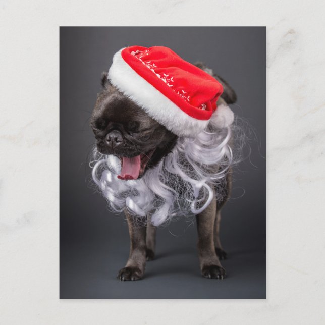 Pug Yawning i Santa Hat och Beard Helg Vykort (Framsida)