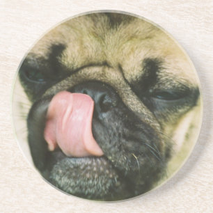 Pugalicious kustfartyg underlägg