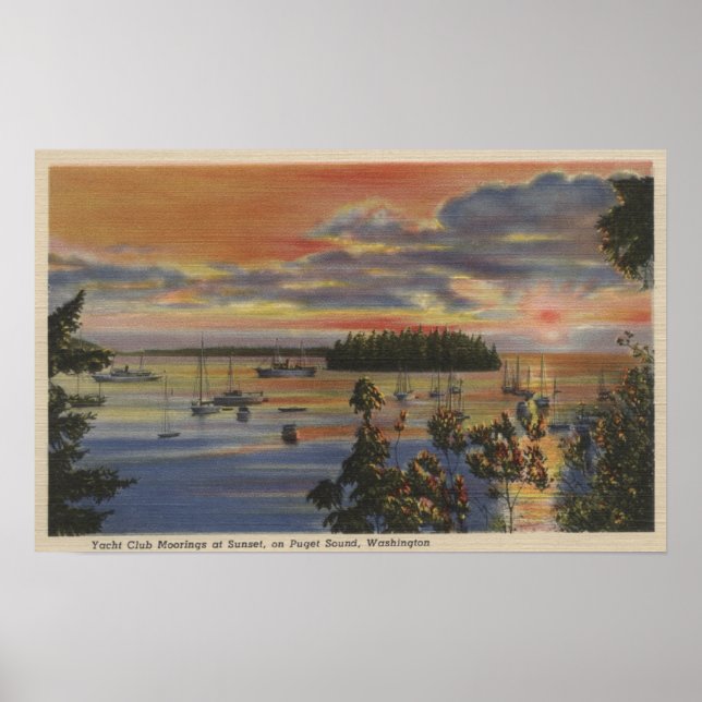 Puget Ljud, WA - Yacht Klubb Moorings at Sunset Poster (Framsidan)