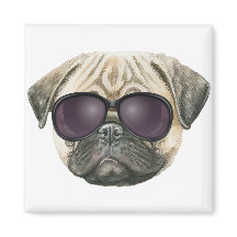 Pugg, fransk av ludd med glasögon