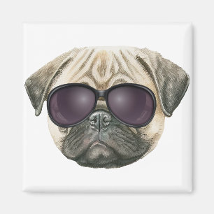 Pugg, fransk av ludd med glasögon magnet