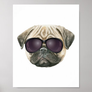 Pugg, fransk av ludd med glasögon poster