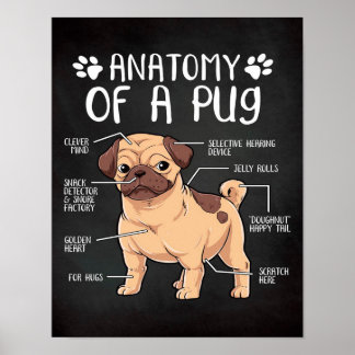 pugg poster