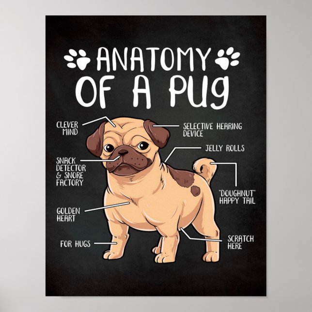 pugg poster (Framsidan)