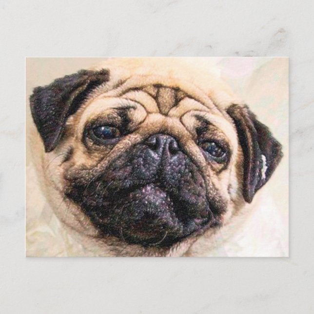 Puggad Vykort (Framsida)