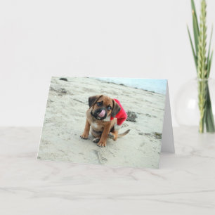 Puggel! Helgdag-kort Helgkort