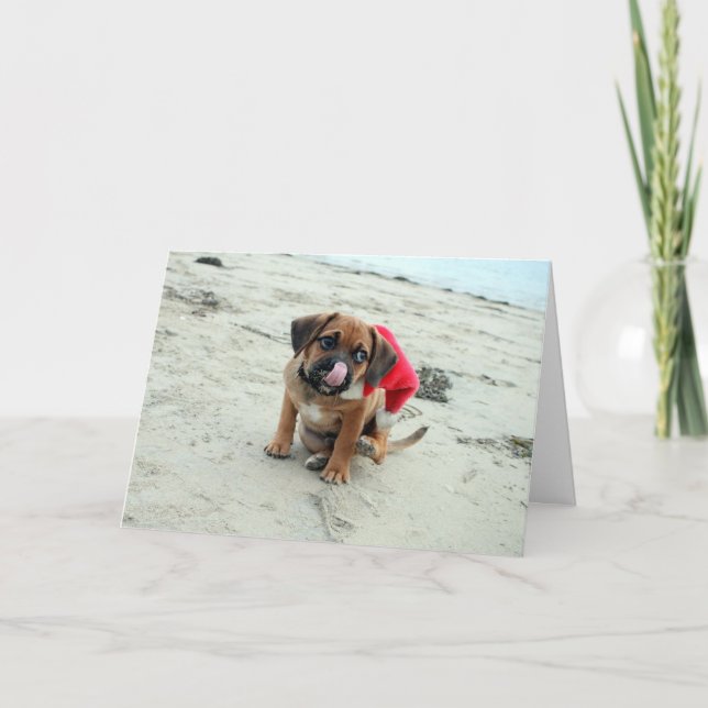 Puggel! Helgdag-kort Helgkort (Framsida)