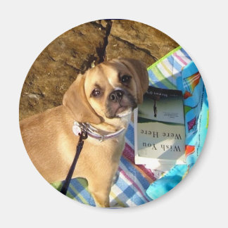 Puggel Magnet