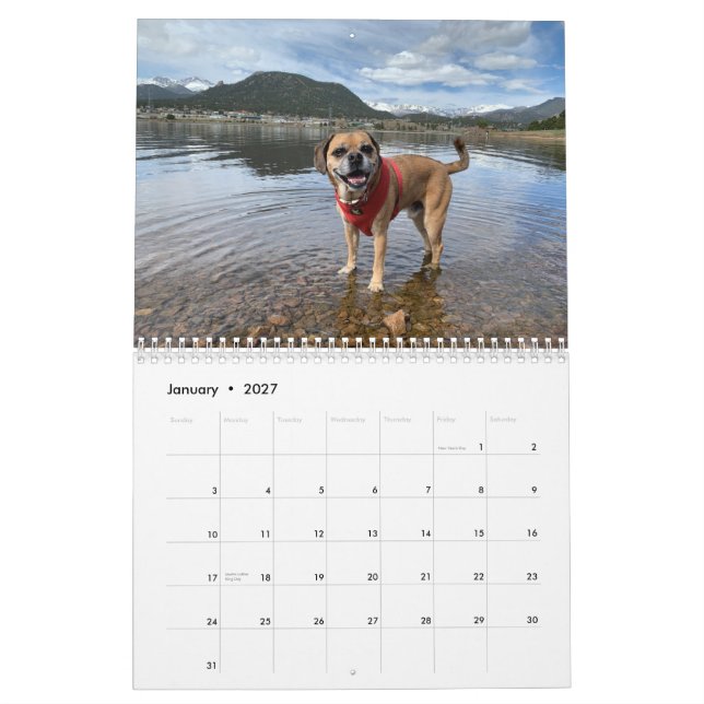 Puggelkalender 2022 kalender (Jan 2027)