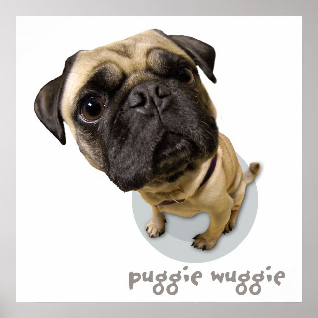 Puggie Wuggie Poster (Framsidan)