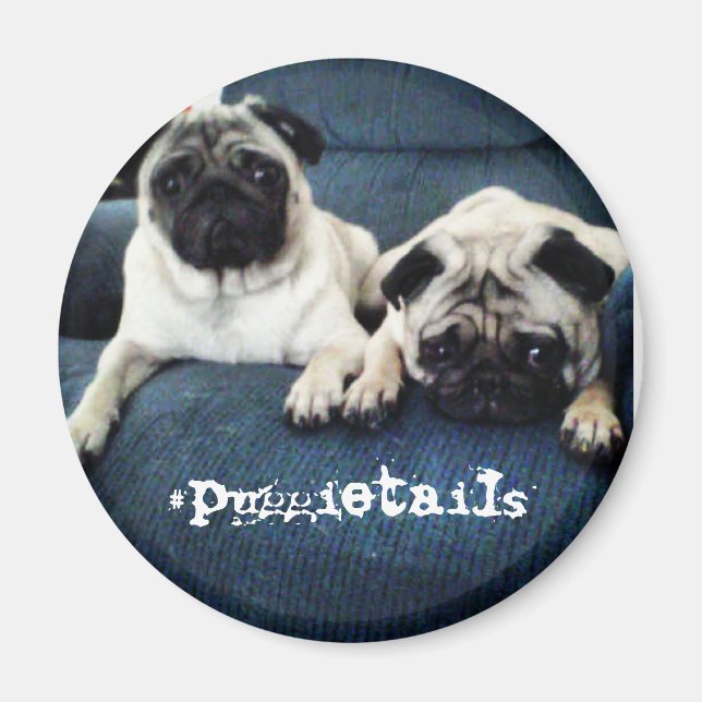 #puggietails magnet (Framsidan)