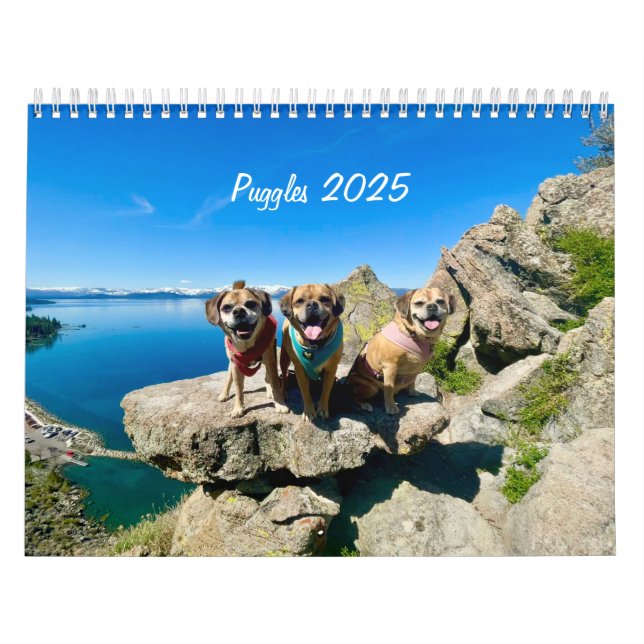 Pugglar 2025 kalender (Omslag)