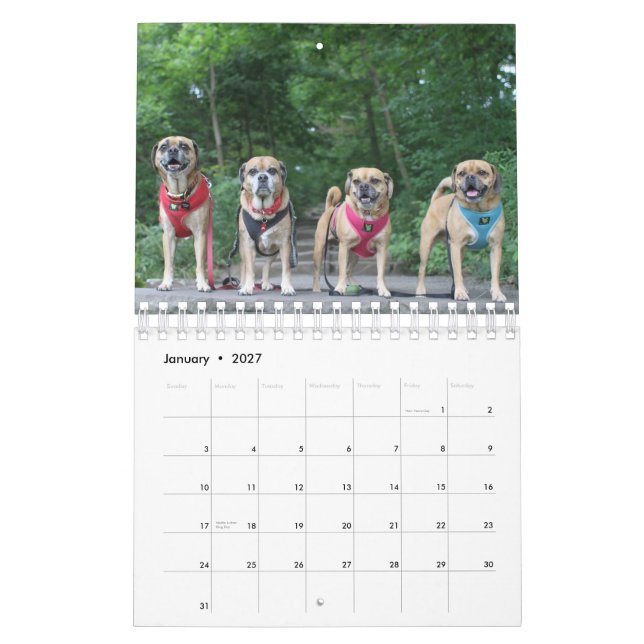PUGGLE 2020-KALENDERN KALENDER (Jan 2027)