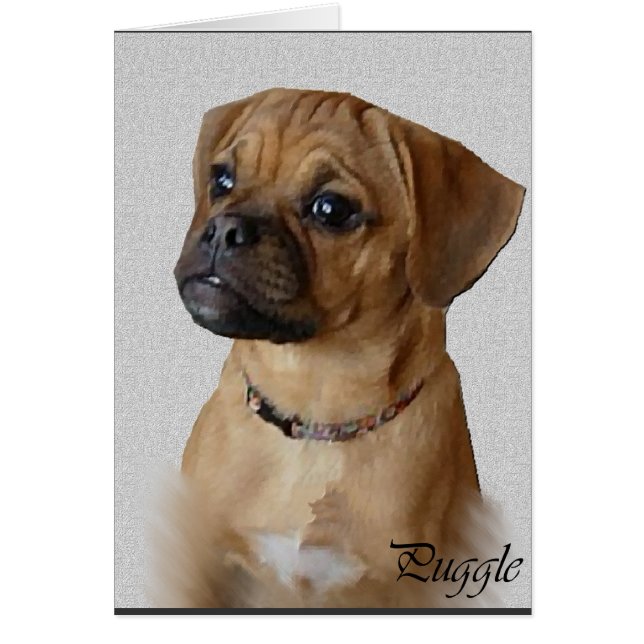 Puggle Älskare Gifts Hälsningskort (Framsidan)
