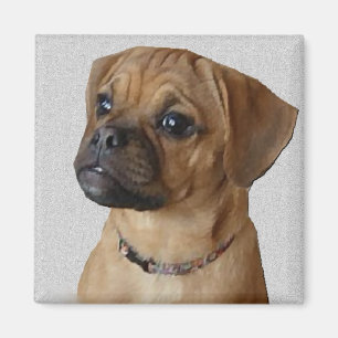 Puggle Älskare Gifts Magnet