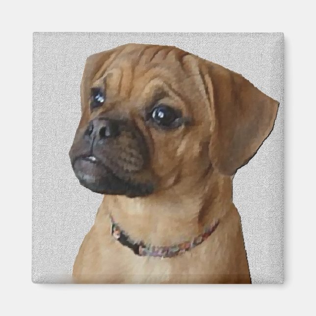 Puggle Älskare Gifts Magnet (Framsidan)