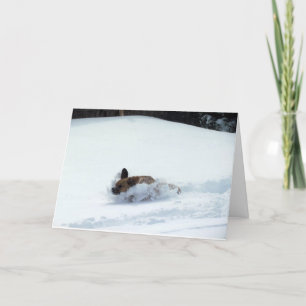 Puggle! Helgdagkort Helgkort