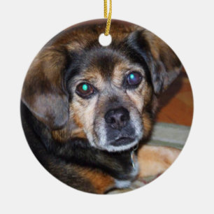 Puggle hundChrstmas prydnad Julgransprydnad Keramik