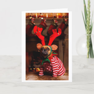 Puggle! Julkort Helgkort