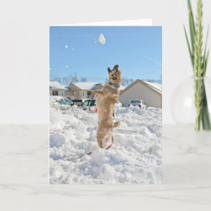 Puggle! Julkort Helgkort