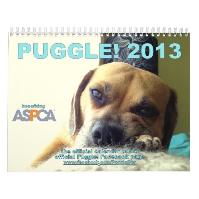 Puggle! Kalender 2013 (Omslag)