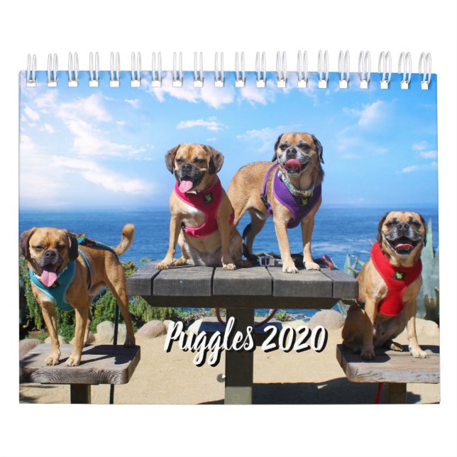 PUGGLE - KALENDER 2019 (Omslag)