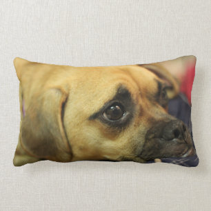 Puggle kudder lumbarkudde