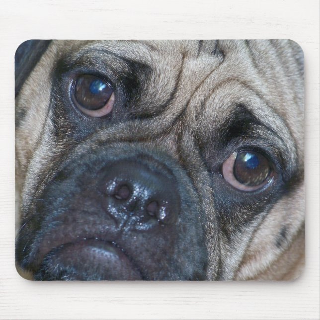 puggleansikte musmatta (Framsidan)