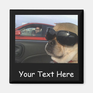 Puggles magnet