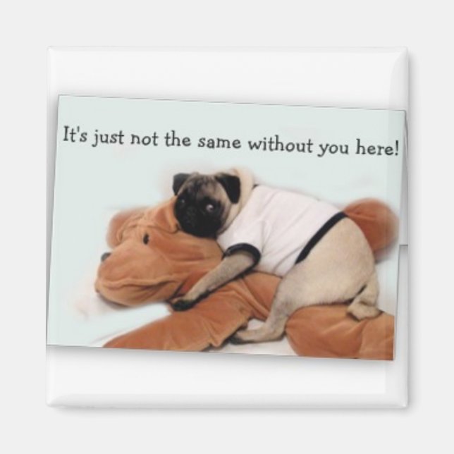 puggmagnet magnet (Framsidan)