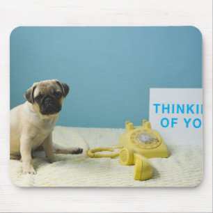 Puggvalpen sitta på sängen bredvid mobila och musmatta