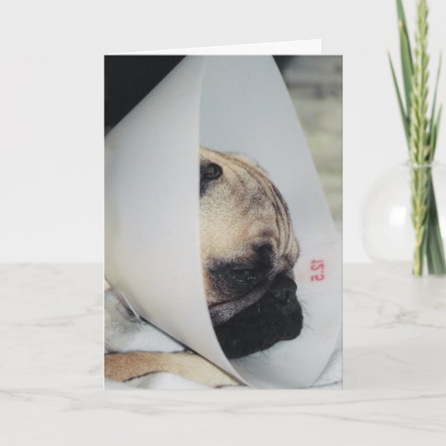 Puggy Get well Greeting Card Kort (Framsida)
