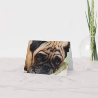 Puggy Note-kort för ledsen Helgkort