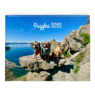 Pugle 2025-kalender kalender