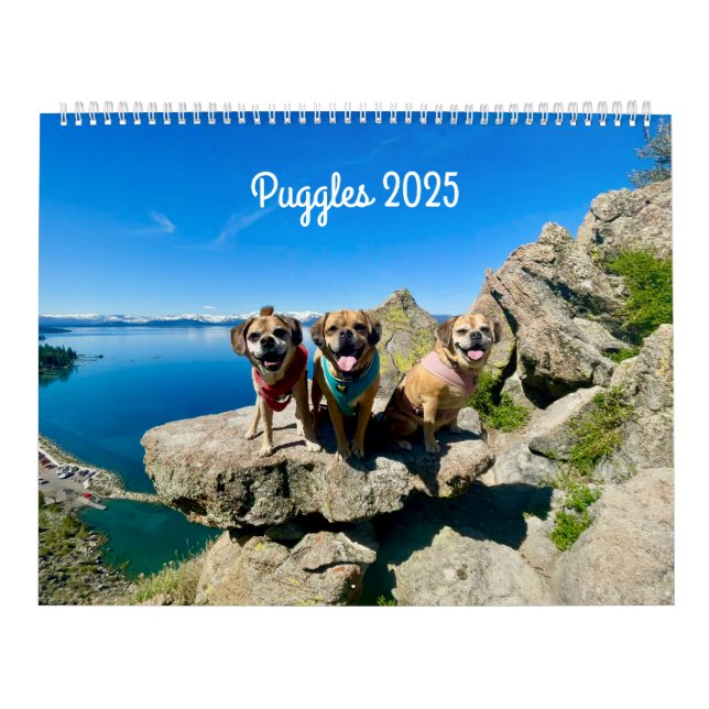 Pugle 2025-kalender kalender (Omslag)