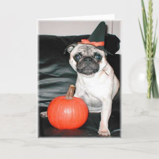 Pugoween Kort