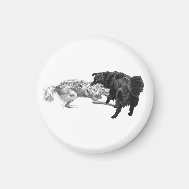 Pugpaus, skuggad magnet (Framsidan)