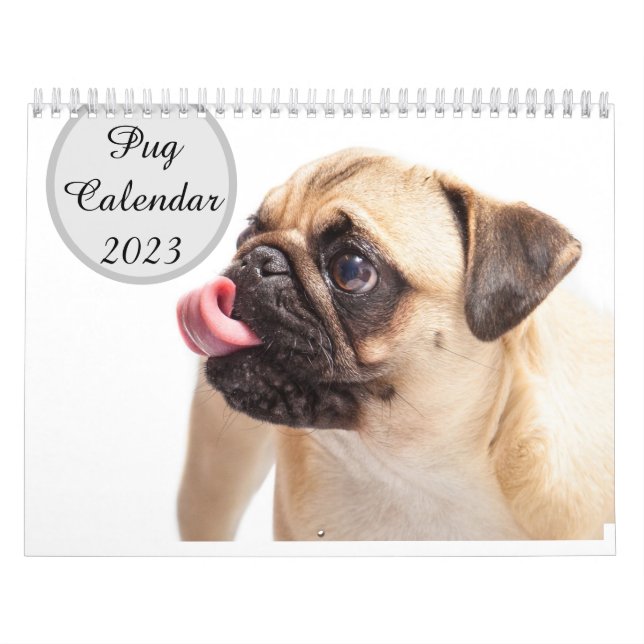 Pugs Calendar 2023 Kalender (Omslag)