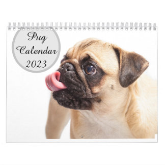 Pugs Calendar 2023 Kalender