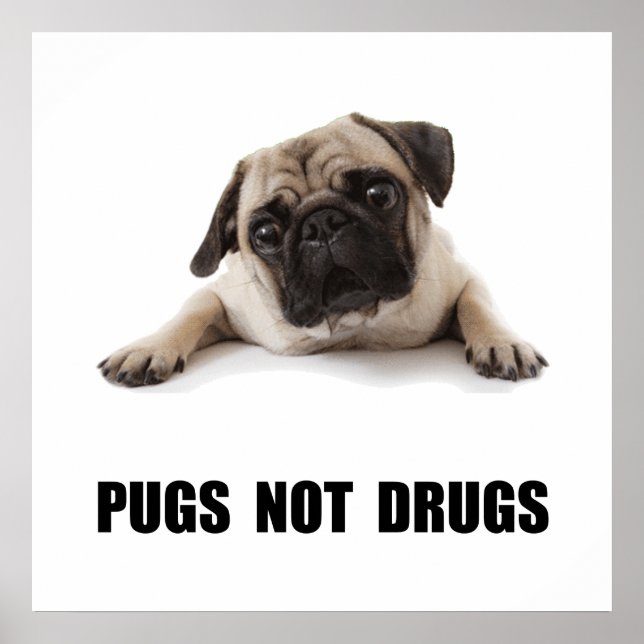 Pugs ej narkotika poster (Framsidan)