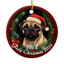 Pugs första jul