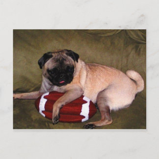 Pugs Kärlek Football! Vykort
