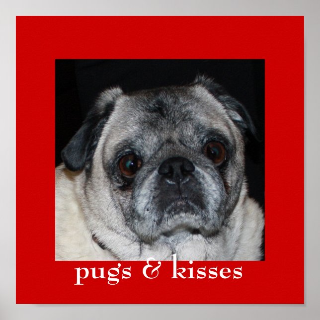 Pugs & Kisses Poster (Framsidan)